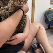 Thumbnail photo of Violet Cadavas #3