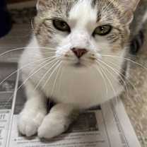 Thumbnail photo of Zoe #2