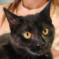 Thumbnail photo of Matcha #2