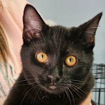 Thumbnail photo of Malik #1