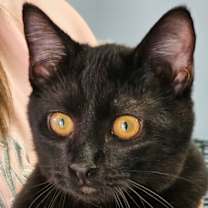 Thumbnail photo of Malik #4