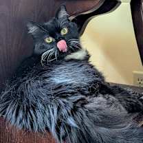 Thumbnail photo of Betty #3