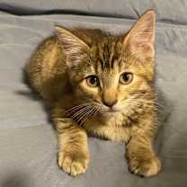 Thumbnail photo of Kenny #2