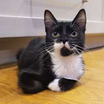 Thumbnail photo of Sammie Jo #2