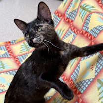 Thumbnail photo of Marianne #1