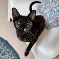 Thumbnail photo of Marianne #3