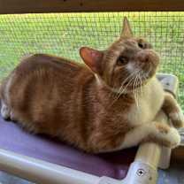 Thumbnail photo of Danny #3