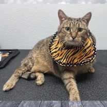 Thumbnail photo of Jerri #2