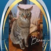 Thumbnail photo of Benny #1