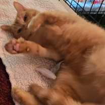 Thumbnail photo of Theadora #2