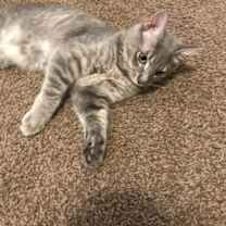 Thumbnail photo of Noor #4