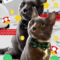 Thumbnail photo of Stormy #3