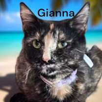 Thumbnail photo of Gianna #1