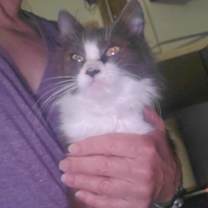 Thumbnail photo of Whisper #1