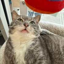 Thumbnail photo of Seymour #4