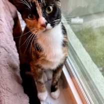 Thumbnail photo of Chasity #3