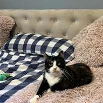 Thumbnail photo of Autumn #1