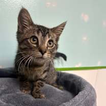 Thumbnail photo of Jeff #3