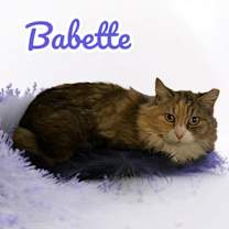 Thumbnail photo of Babette #2