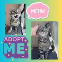 Thumbnail photo of Selena #1