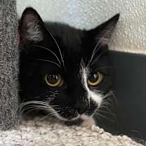 Thumbnail photo of Bobby #2