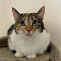 Thumbnail photo of Mary #2