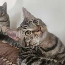 Thumbnail photo of Fernando #1