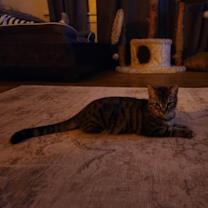 Thumbnail photo of Fernando #3