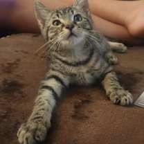 Thumbnail photo of Fernando #4