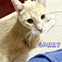 Thumbnail photo of Danny #2