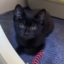 Thumbnail photo of Faith  #2