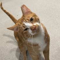 Thumbnail photo of Prince Charming #1