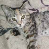 Thumbnail photo of Leia #3