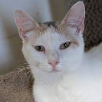 Thumbnail photo of Amanda #4