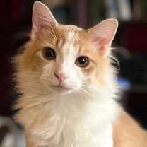 Thumbnail photo of Marty McFly (LG) #1