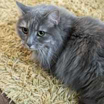 Thumbnail photo of Julie #2