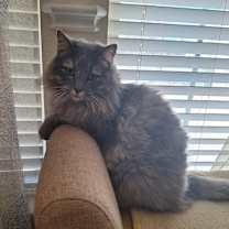 Thumbnail photo of Julie #3