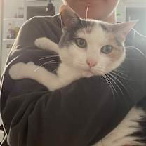 Thumbnail photo of Lady Windermere #4