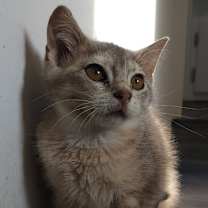 Thumbnail photo of Rayne #1