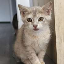 Thumbnail photo of Rayne #4