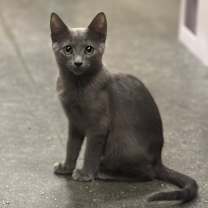 Thumbnail photo of Ranch #4