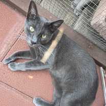 Thumbnail photo of Roc #3