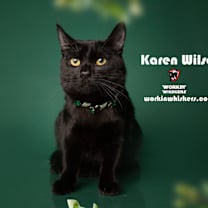 Thumbnail photo of KAREN WILSON #1