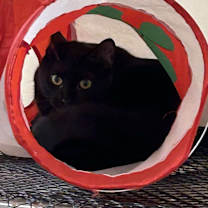 Thumbnail photo of KAREN WILSON #2