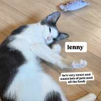 Thumbnail photo of Lenny #4