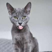 Thumbnail photo of Ethan #1