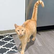 Thumbnail photo of Toes #1