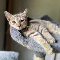 Thumbnail photo of Clarisse #2