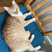 Thumbnail photo of White Feet #2