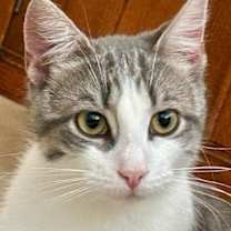 Thumbnail photo of Donny #1